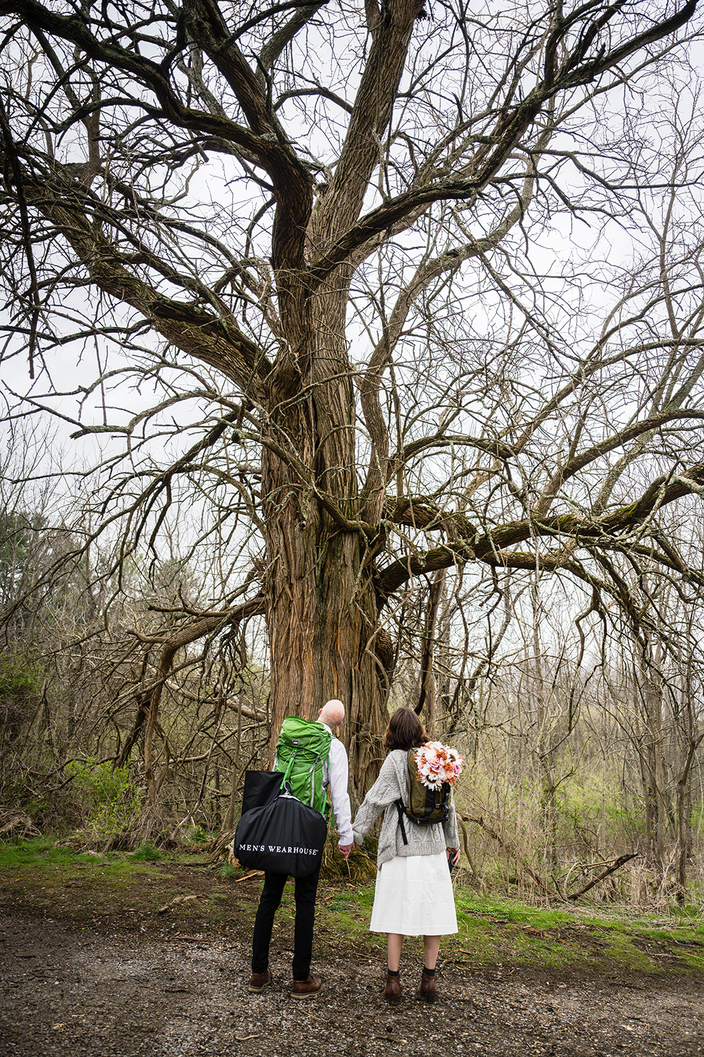 A couple holds hands and looks up at an old and tall tree with sprawling branches along the Appalachian Trail in Virginia.