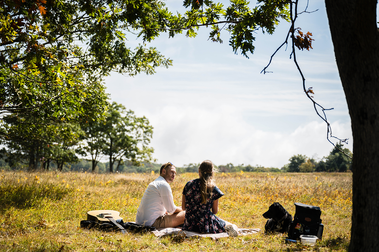 A couple sits on a blanket to prepare for their picnic at Big Meadows in Shenandoah National Park on their elopement day.