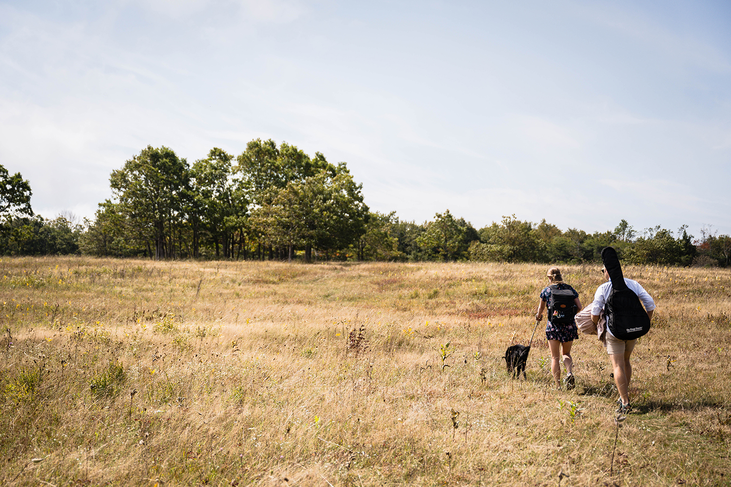 A couple walks with their dog along a narrow trail towards a spot with a lot of trees for their picnic at Big Meadows in Shenandoah National Park.