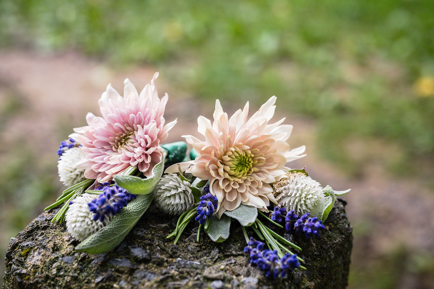 Two boutonnieres lay atop of a stone trail marker at Blackrock Summit in Shenandoah National Park. 