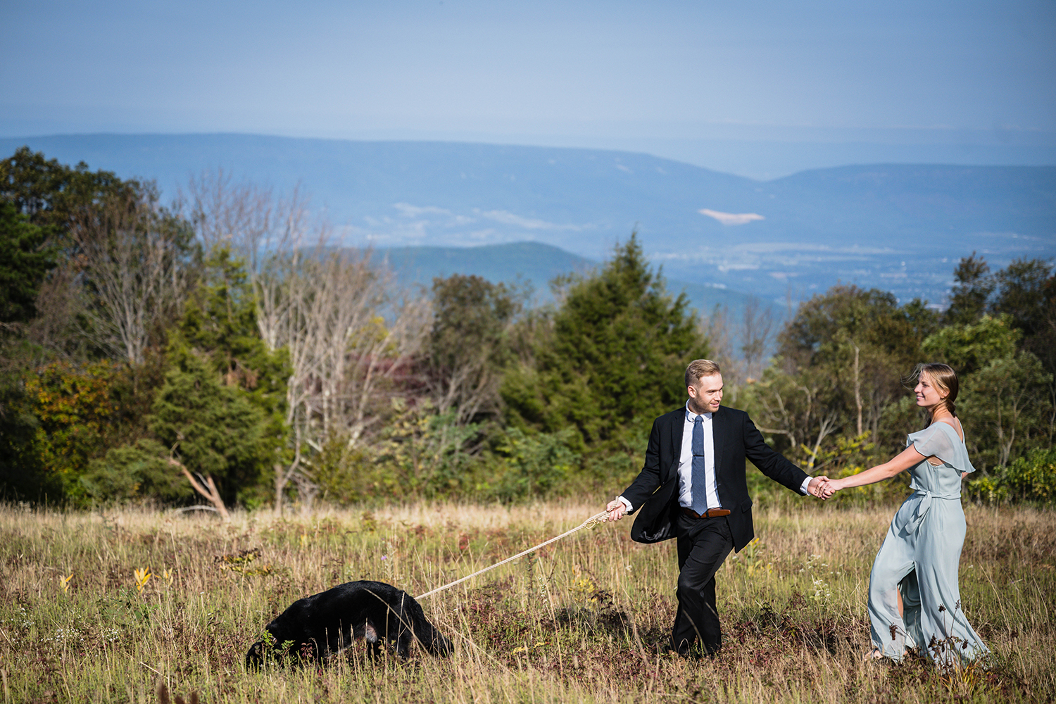 A bride and groom stroll through a grassy field, happily walking their dog on a sunny day on their wedding day at Tanners Ridge Overlook in Shenandoah National Park.