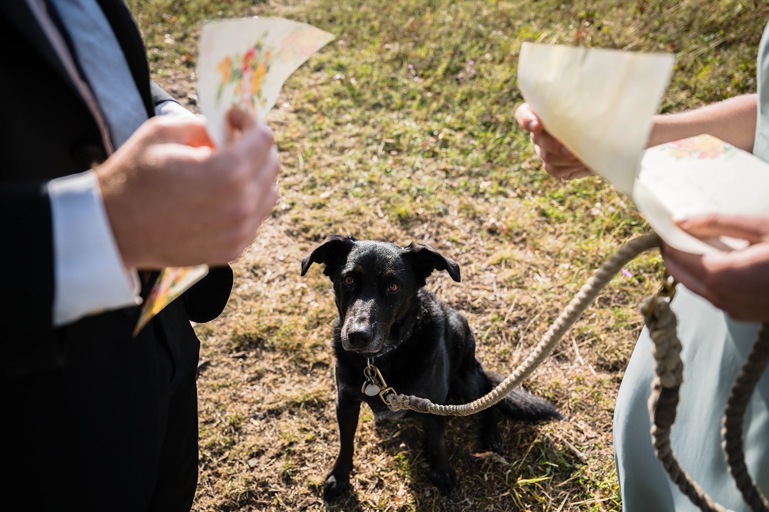 A dog sits on a leash sits and looks up at his owners' hands holding onto floral wedding stationery during a wedding ceremony at Tanner's Ridge Overlook.