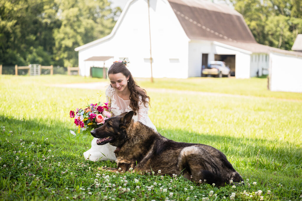 A bride crouches and smiles at an older German shepherd lying on the grass.
