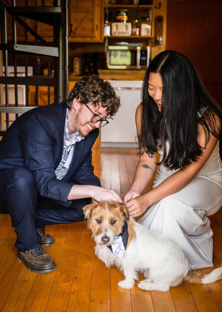 A wedding couple puts on a tuxedo bandana on their dog in their Airbnb at Highland Hideaways.